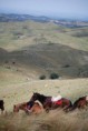 /album/cabalgata-serana/el-silencio1-jpg/